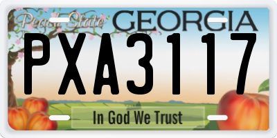 GA license plate PXA3117