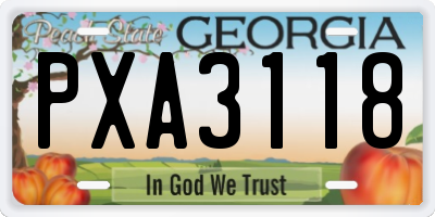 GA license plate PXA3118