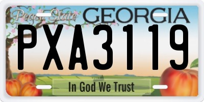 GA license plate PXA3119