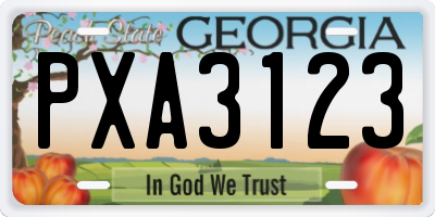 GA license plate PXA3123