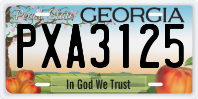 GA license plate PXA3125