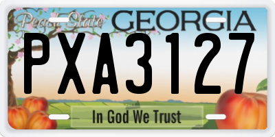GA license plate PXA3127