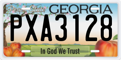 GA license plate PXA3128