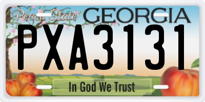 GA license plate PXA3131