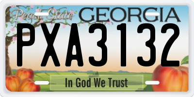 GA license plate PXA3132
