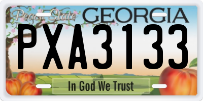 GA license plate PXA3133