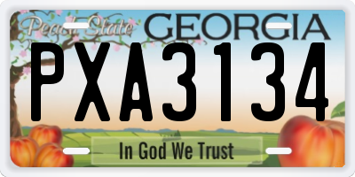 GA license plate PXA3134