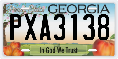 GA license plate PXA3138