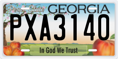 GA license plate PXA3140