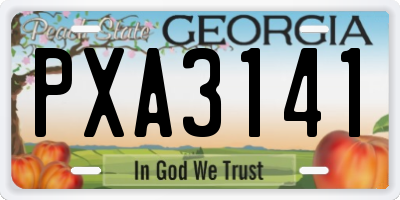 GA license plate PXA3141