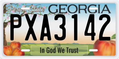 GA license plate PXA3142