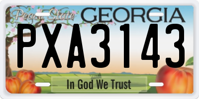 GA license plate PXA3143