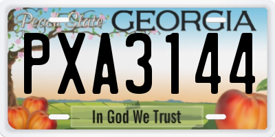 GA license plate PXA3144