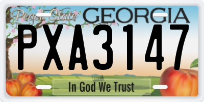GA license plate PXA3147