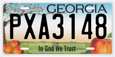 GA license plate PXA3148