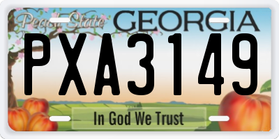 GA license plate PXA3149