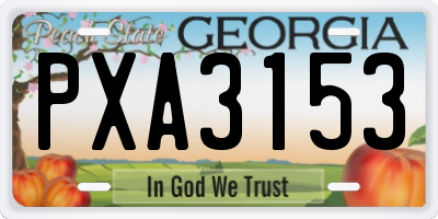 GA license plate PXA3153