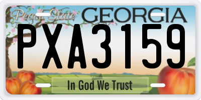 GA license plate PXA3159