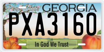 GA license plate PXA3160
