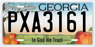 GA license plate PXA3161