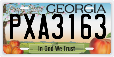 GA license plate PXA3163