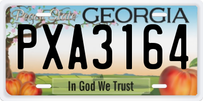 GA license plate PXA3164