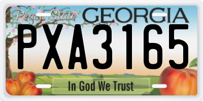 GA license plate PXA3165