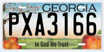 GA license plate PXA3166