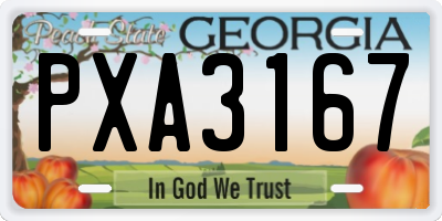 GA license plate PXA3167