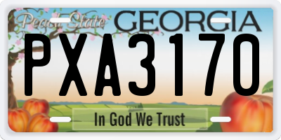 GA license plate PXA3170