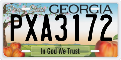 GA license plate PXA3172