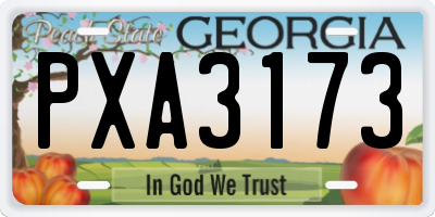 GA license plate PXA3173