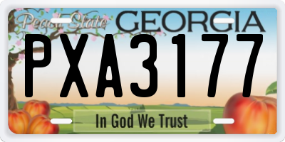GA license plate PXA3177