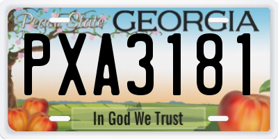 GA license plate PXA3181