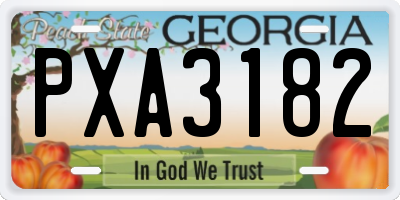 GA license plate PXA3182