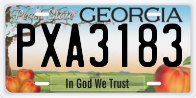 GA license plate PXA3183
