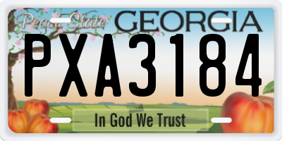 GA license plate PXA3184