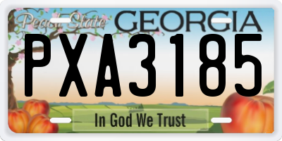GA license plate PXA3185