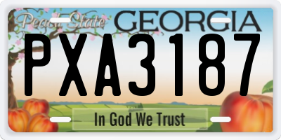 GA license plate PXA3187