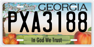 GA license plate PXA3188