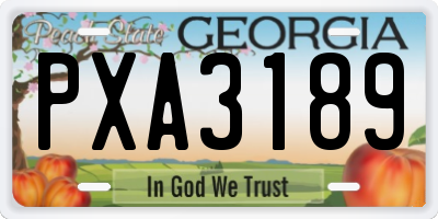GA license plate PXA3189