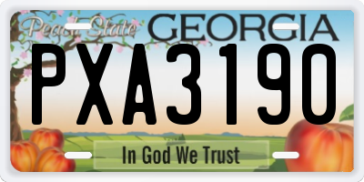 GA license plate PXA3190
