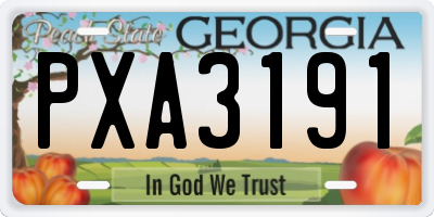 GA license plate PXA3191