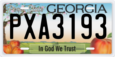 GA license plate PXA3193