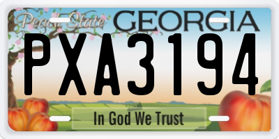 GA license plate PXA3194