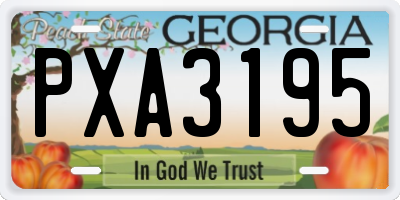 GA license plate PXA3195