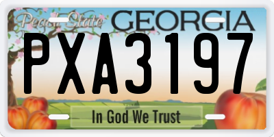 GA license plate PXA3197