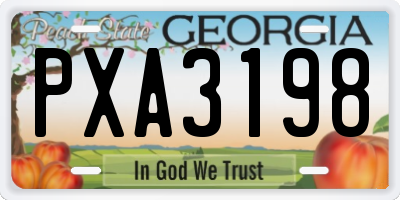 GA license plate PXA3198