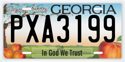 GA license plate PXA3199