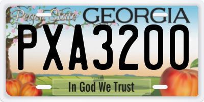 GA license plate PXA3200